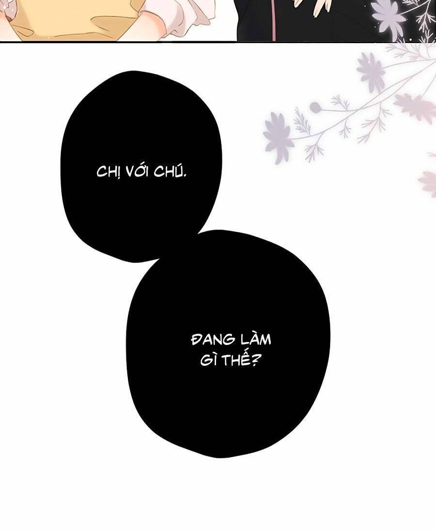 lại gặp được em chapter 45 - Trang 2