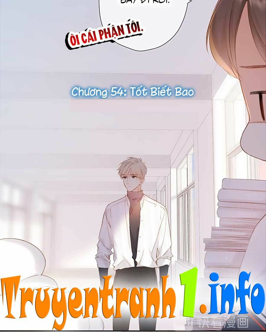 lại gặp được em chapter   54 - Next Chap 54.5