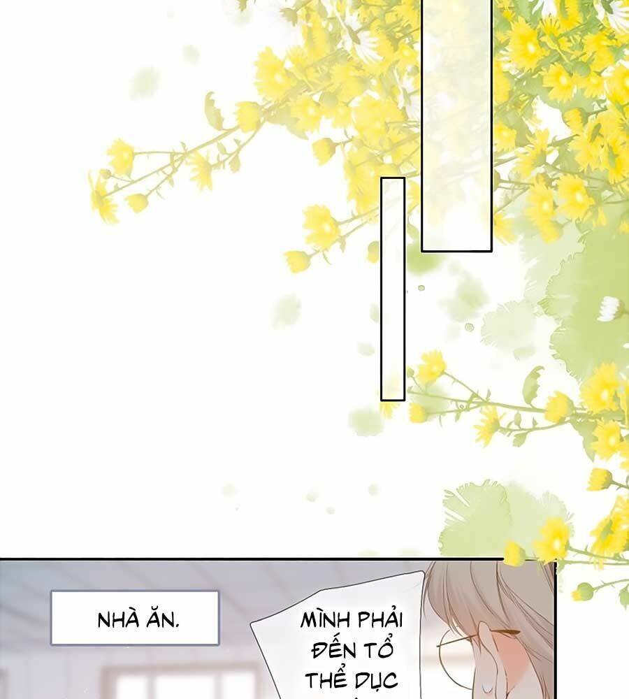 lại gặp được em chapter   54 - Next Chap 54.5