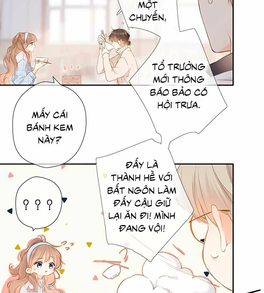 lại gặp được em chapter   54 - Next Chap 54.5