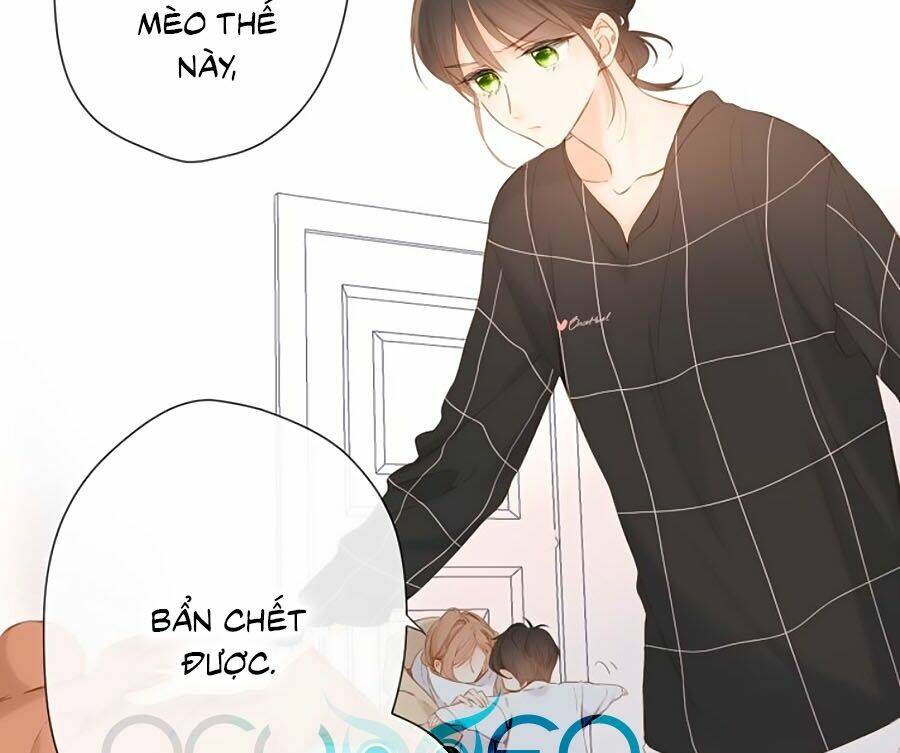 lại gặp được em chapter   64 - Trang 2