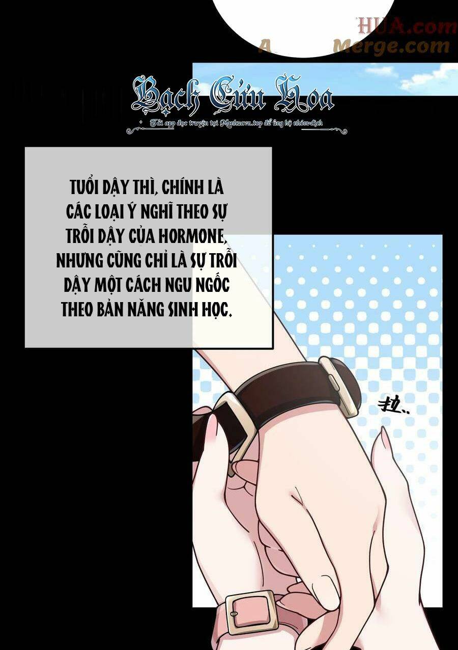 làm sao để chạy trốn dàn hậu cung chapter 90 - Next chương 91