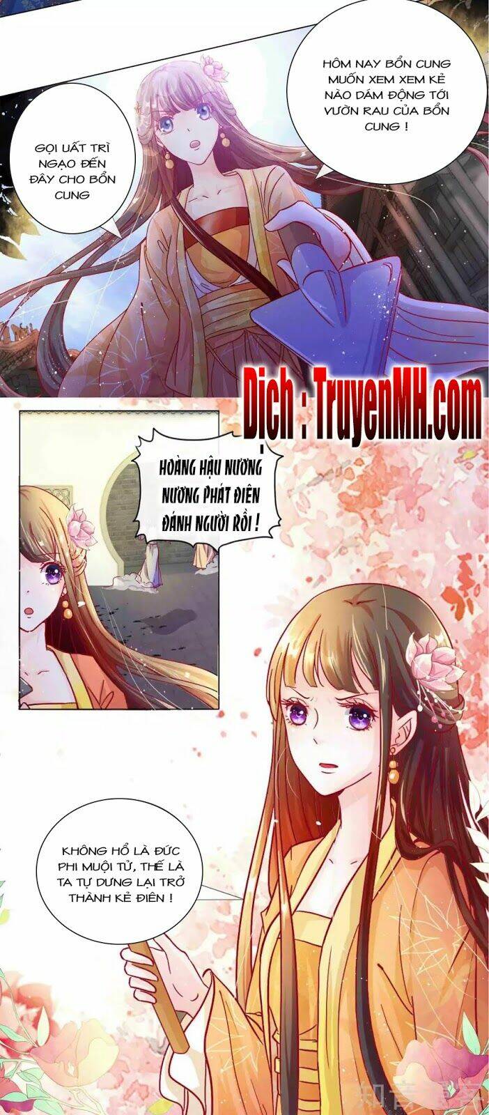 lãnh cung phế hậu muốn nghịch thiên chapter 2 - Next chapter 3