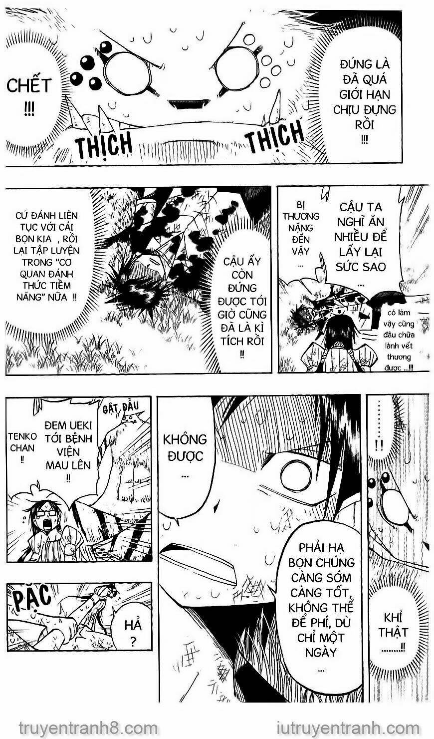 Law Of Ueki Chapter 53 - Next Chapter 54