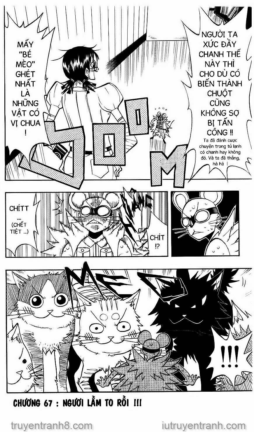 Law Of Ueki Chapter 67 - Trang 2