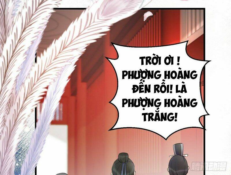 Lễ Băng Nhạc Phôi Chi Dạ Chapter 2 - Trang 2