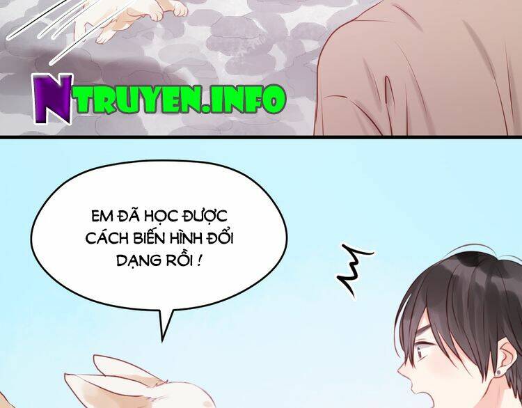 Lượm Được 1 Tiểu Hồ Ly Chapter 48 - Trang 2