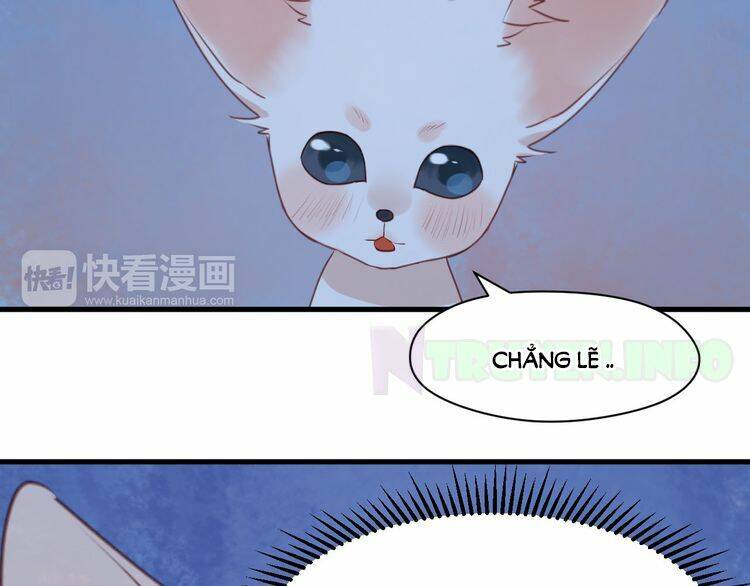 Lượm Được 1 Tiểu Hồ Ly Chapter 52 - Next Chapter 53