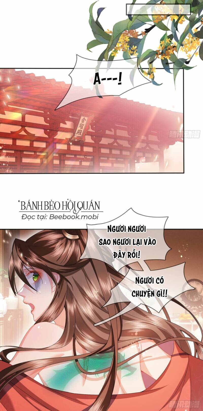 ma hoàng tiên y: tà đế phu nhân vừa oanh vừa lạnh chapter 5 - Next chapter 6