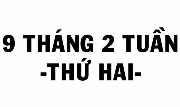 Mắc Kẹt Trên Mặt Trăng Chapter 20 - Trang 2