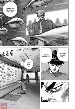 maeda taison blues Chapter 262 - Next chương 263