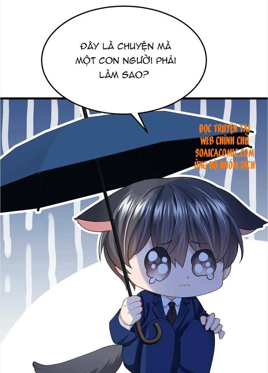 manh bảo của tôi là liêu cơ chapter 60 - Trang 2