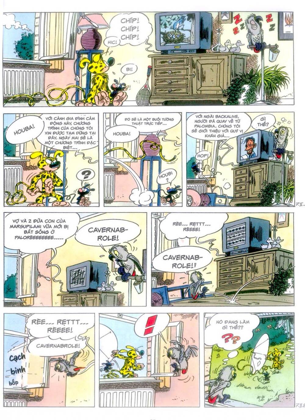 marsupilami chapter 10: - cuộc ẩu đả ở palombia - Trang 2