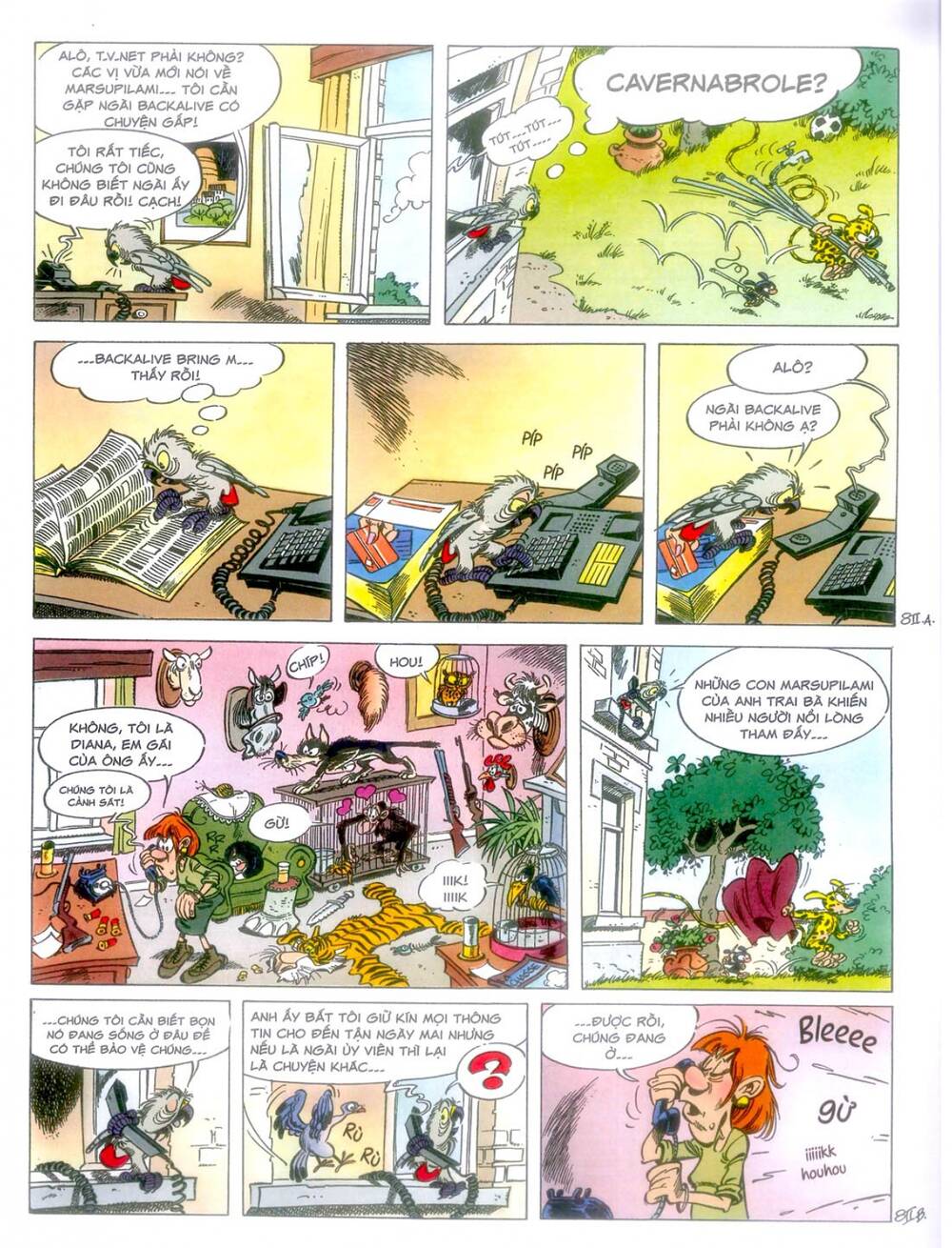 marsupilami chapter 10: - cuộc ẩu đả ở palombia - Trang 2