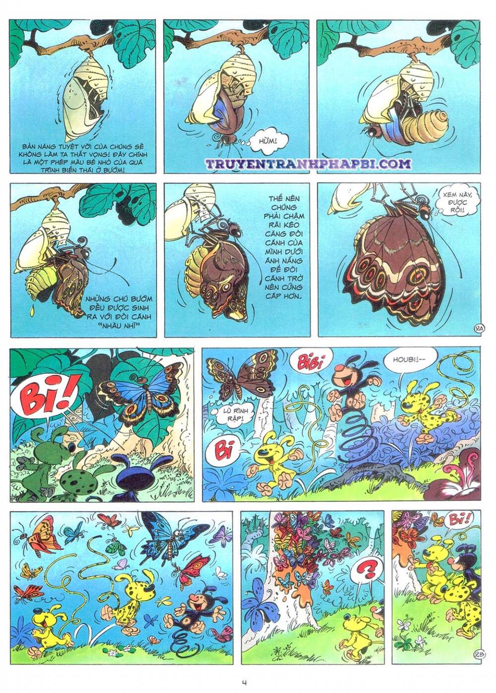 marsupilami chapter 9: - bươm bướm trên những ngọn cây - Next chapter 10: - cuộc ẩu đả ở palombia