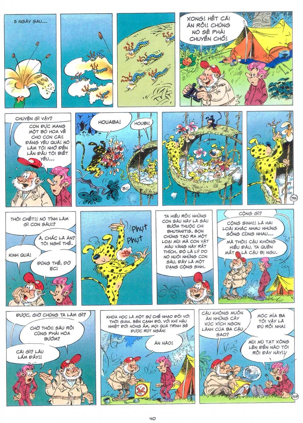 marsupilami chapter 9: - bươm bướm trên những ngọn cây - Next chapter 10: - cuộc ẩu đả ở palombia