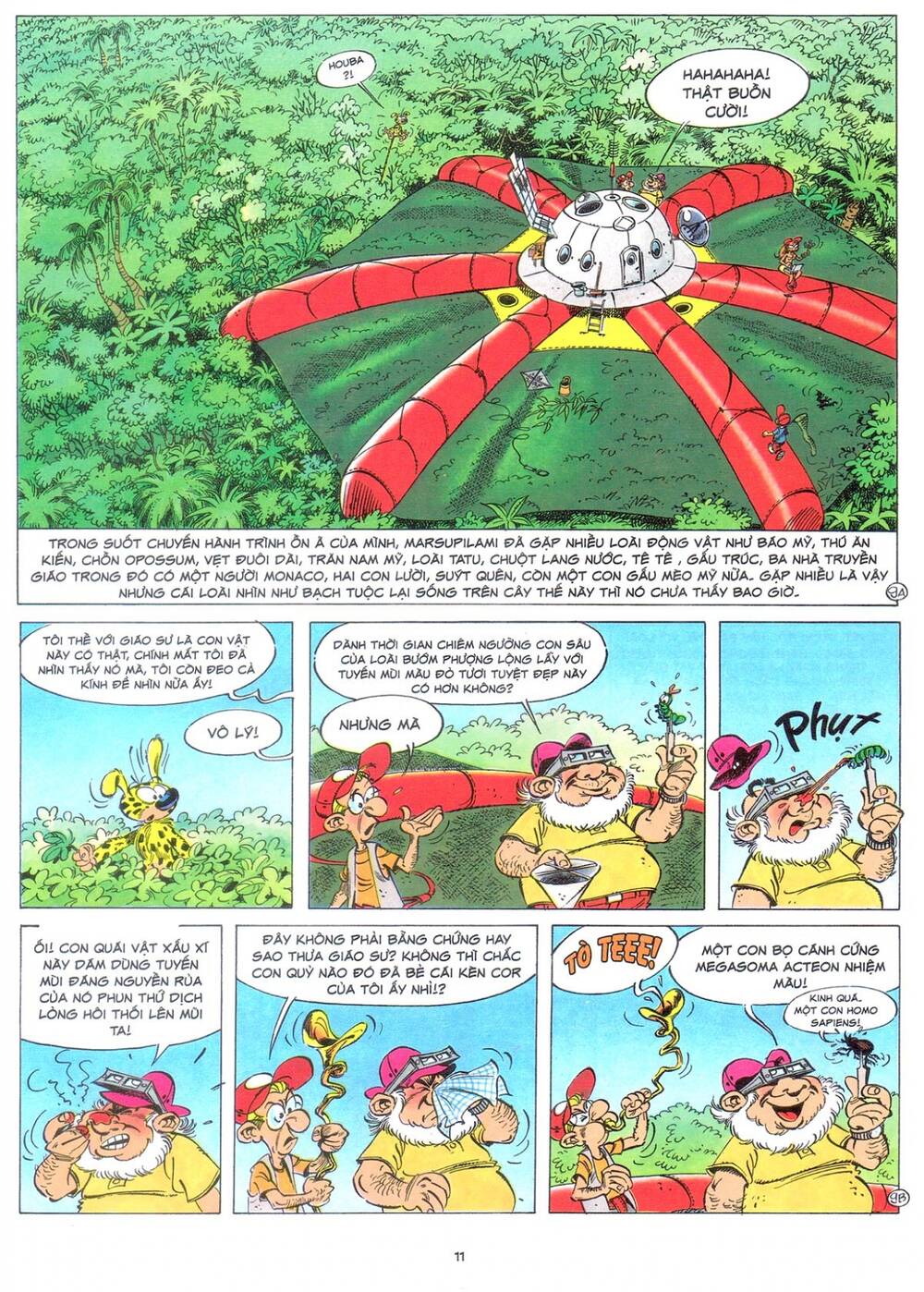 marsupilami chapter 9: - bươm bướm trên những ngọn cây - Next chapter 10: - cuộc ẩu đả ở palombia