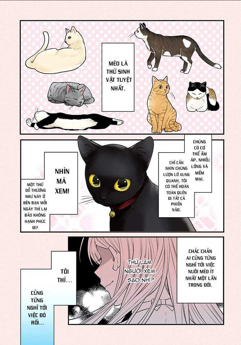 mi-chan wa kawaretai chapter 1 - Next chương 2