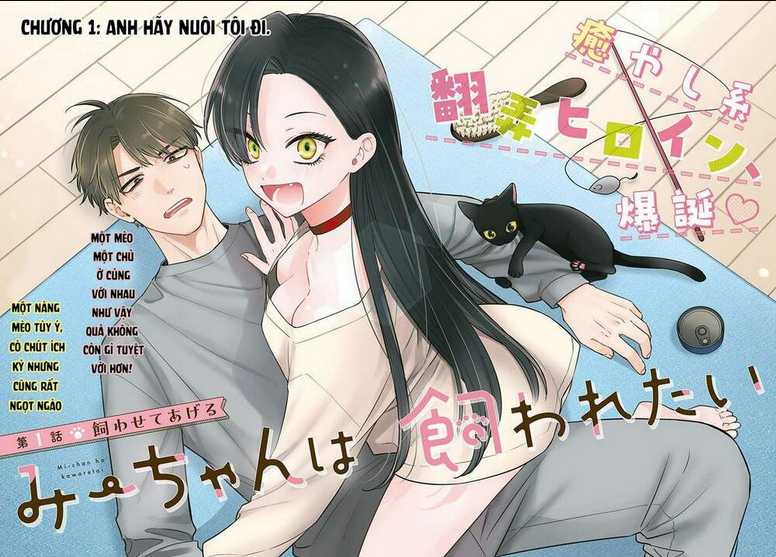 mi-chan wa kawaretai chapter 1 - Next chương 2