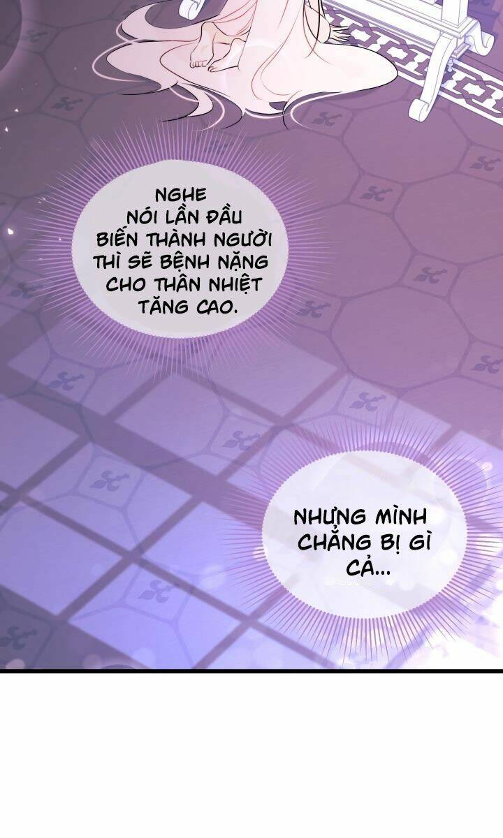 mối liên kết giữa báo đen và bé thỏ chapter 19 - Trang 2