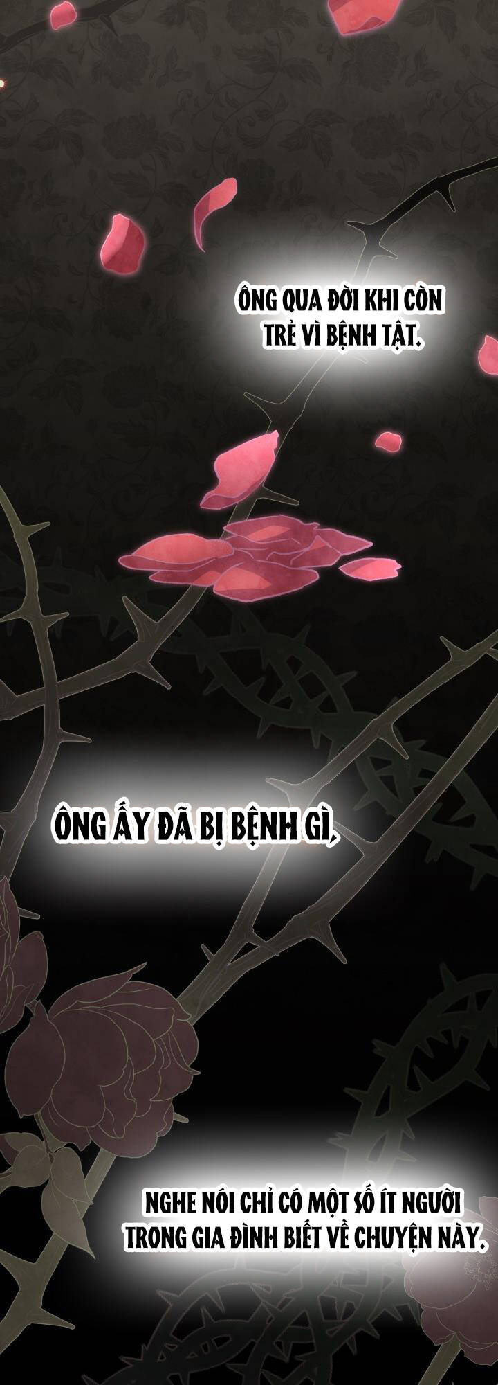 mối liên kết giữa báo đen và bé thỏ chapter 85 - Trang 2