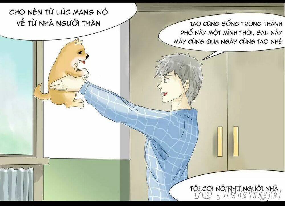 Một Con Chó Chapter 50 - Trang 2