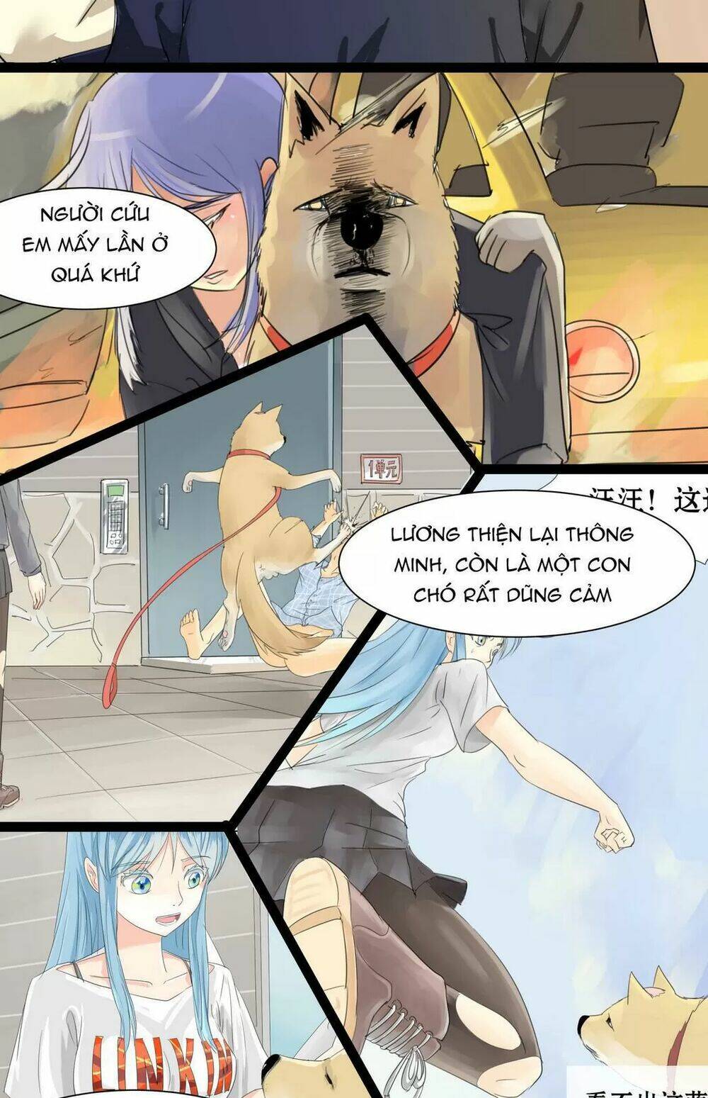 Một Con Chó Chapter 65 - Next 