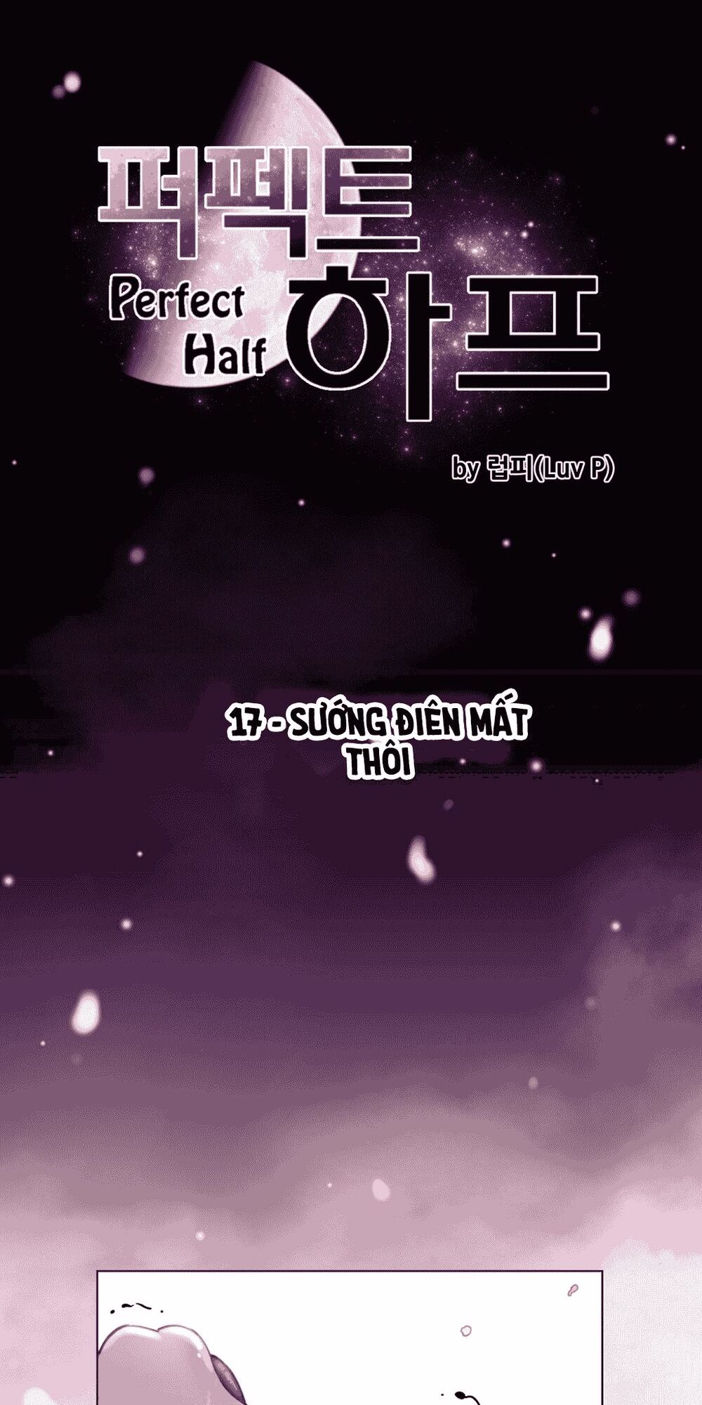 một nửa hoàn hảo chapter 17 - Next chapter 18