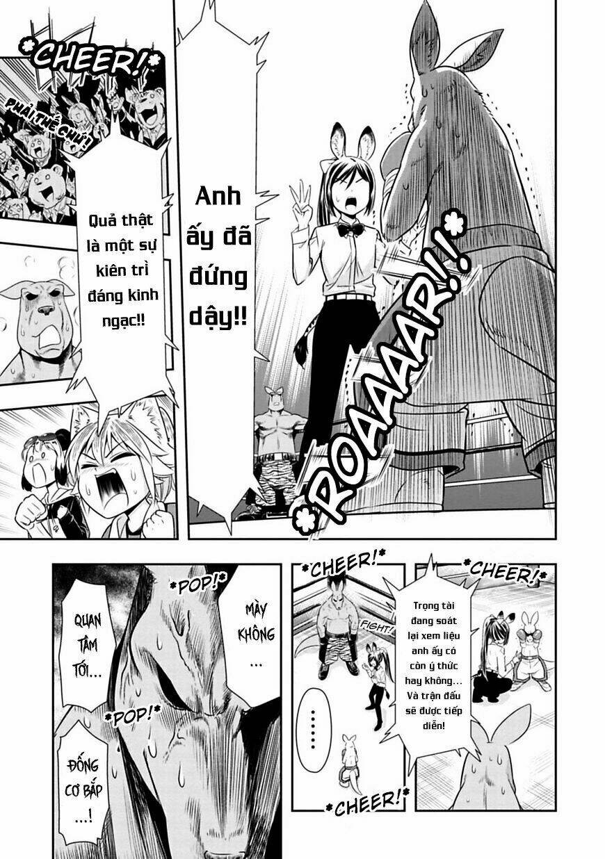 murenase! shiiton gakuen chapter 31: chuột túi boxing (phần 4) - Next chapter 31.5: bìa màu