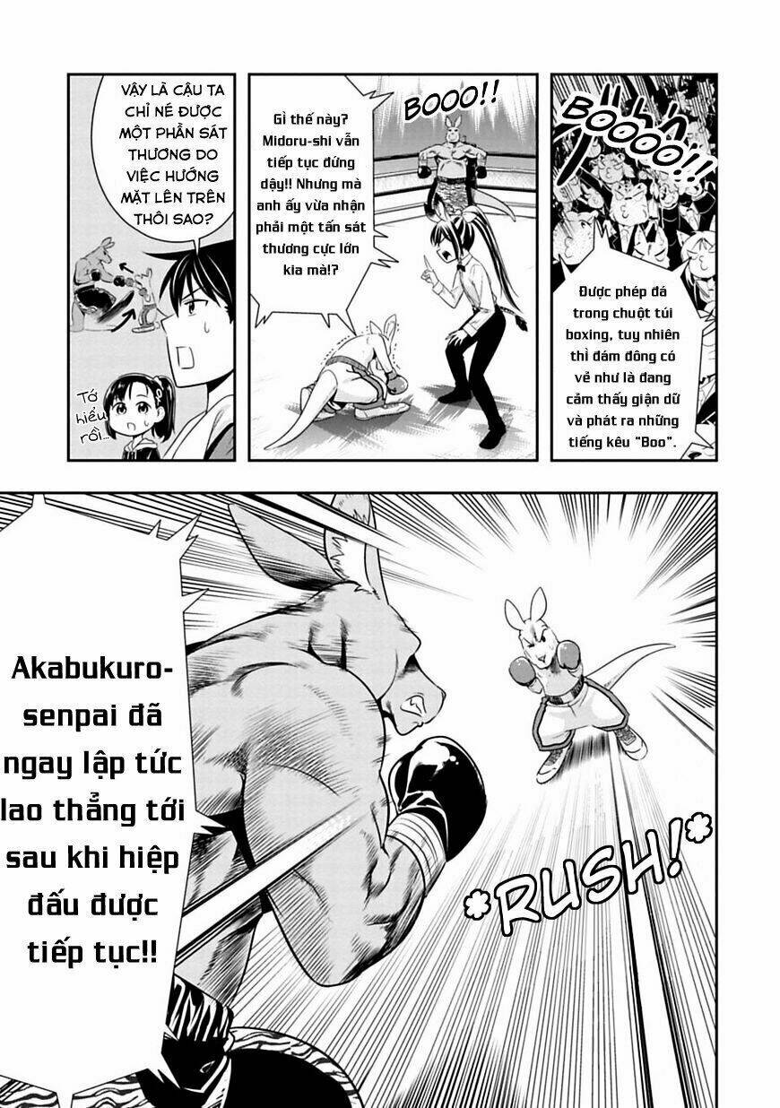 murenase! shiiton gakuen chapter 31: chuột túi boxing (phần 4) - Next chapter 31.5: bìa màu