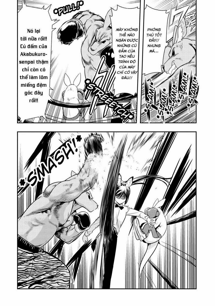 murenase! shiiton gakuen chapter 31: chuột túi boxing (phần 4) - Next chapter 31.5: bìa màu