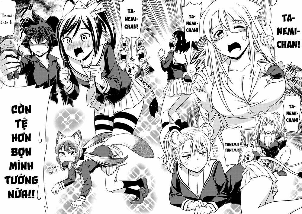 murenase! shiiton gakuen chapter 74: chàng trai nhầm lẫn bạn gái - Next chapter 74.5: nếu đẩy không được thì hãy kéo