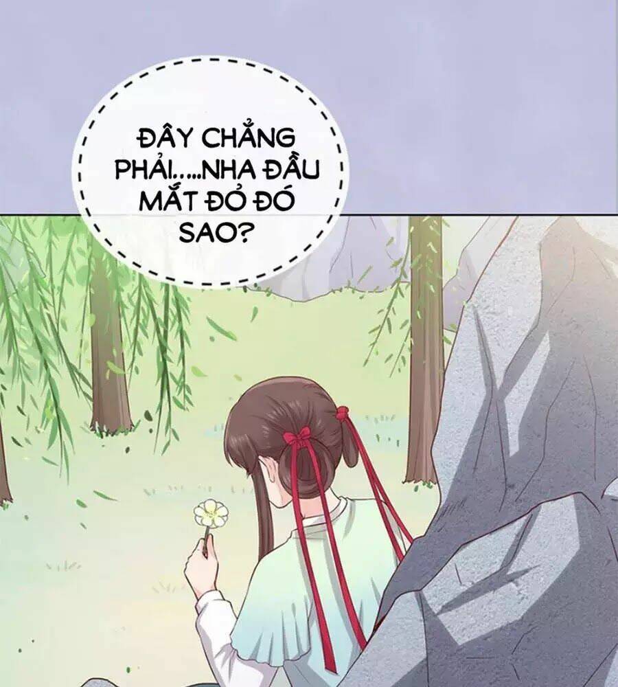 Mỹ Nhân Già Rồi Chapter 42 - Trang 2