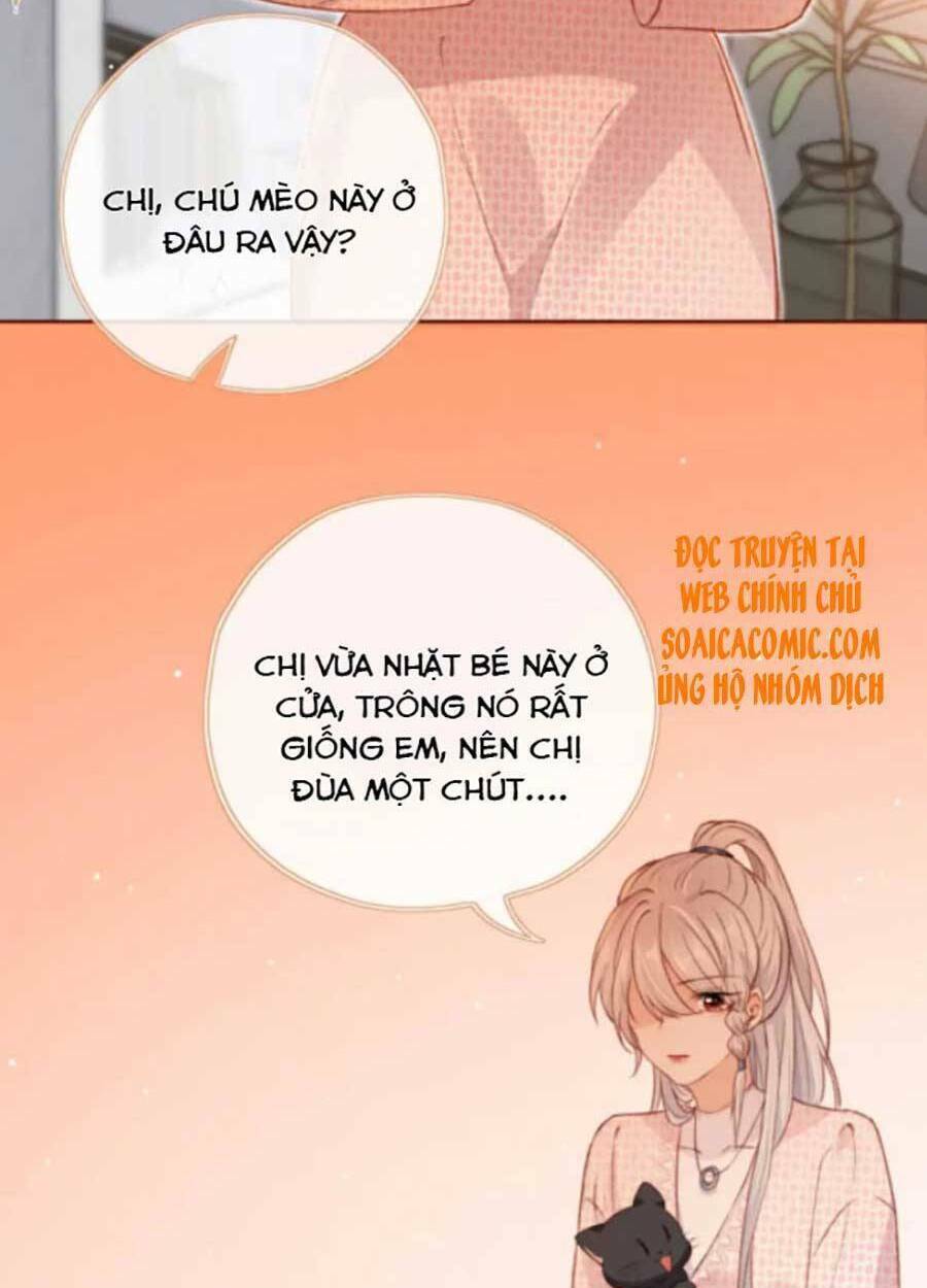 nam chính và nhân vật phản diện tôi nuôi đều không đứng đắn chapter 34 - Trang 2