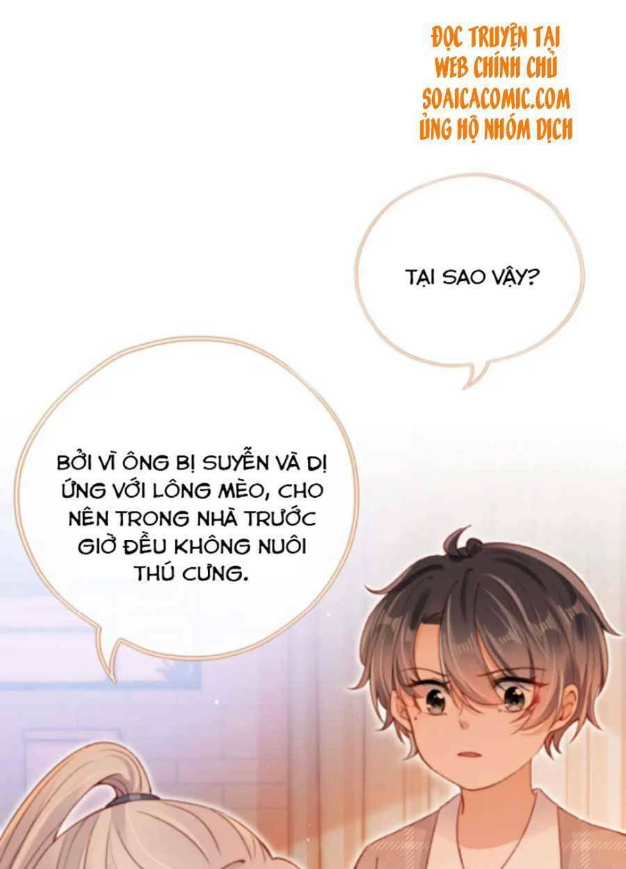 nam chính và nhân vật phản diện tôi nuôi đều không đứng đắn chapter 34 - Trang 2