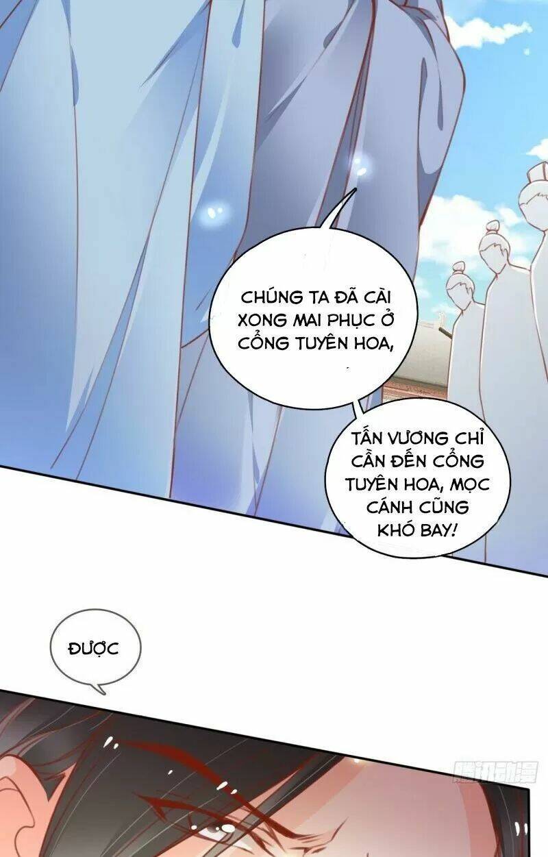 nàng trở thành bạch nguyệt quang của vương gia bệnh kiều Chapter 115 - Trang 2