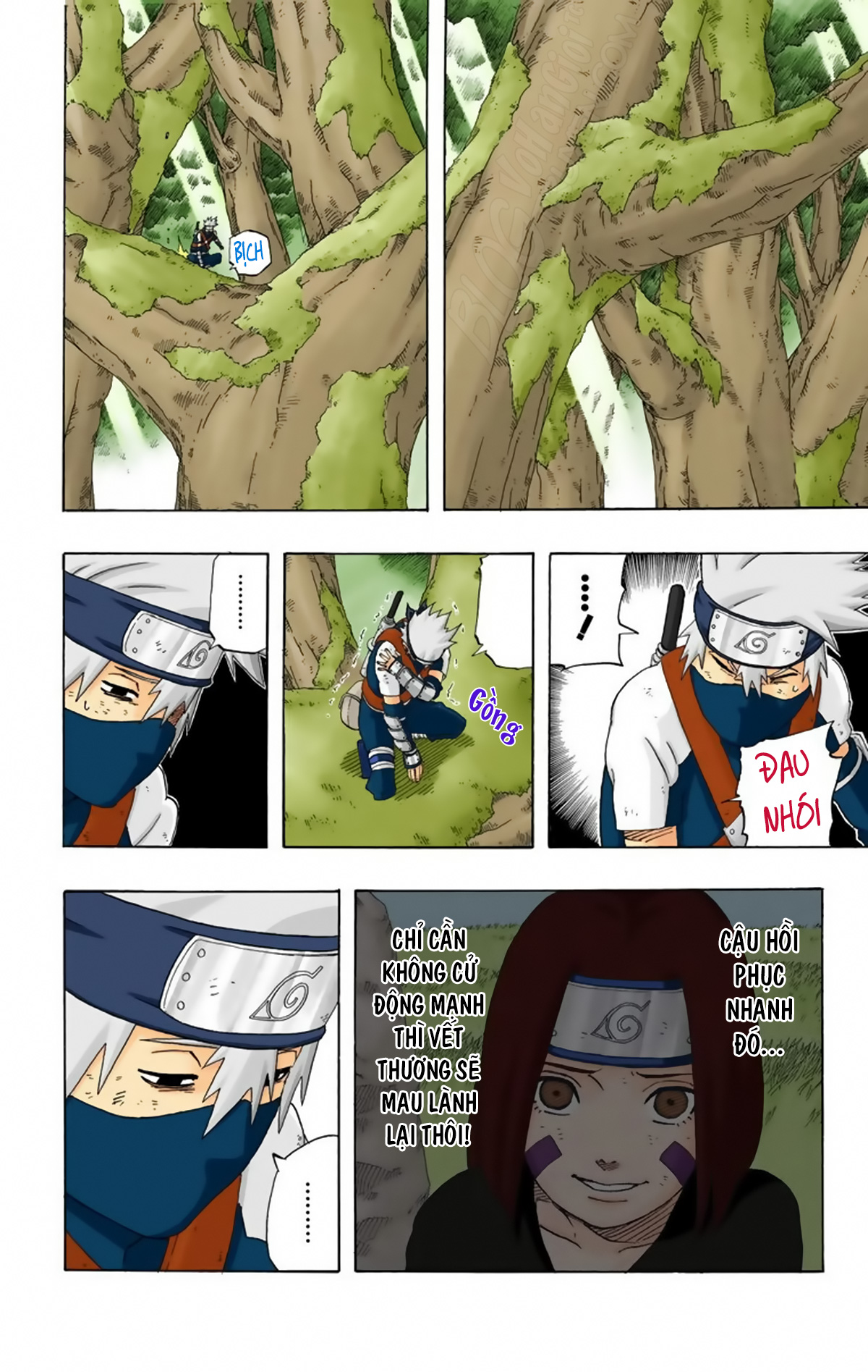 naruto full color edition Chapter 242 - Next Chapter 243