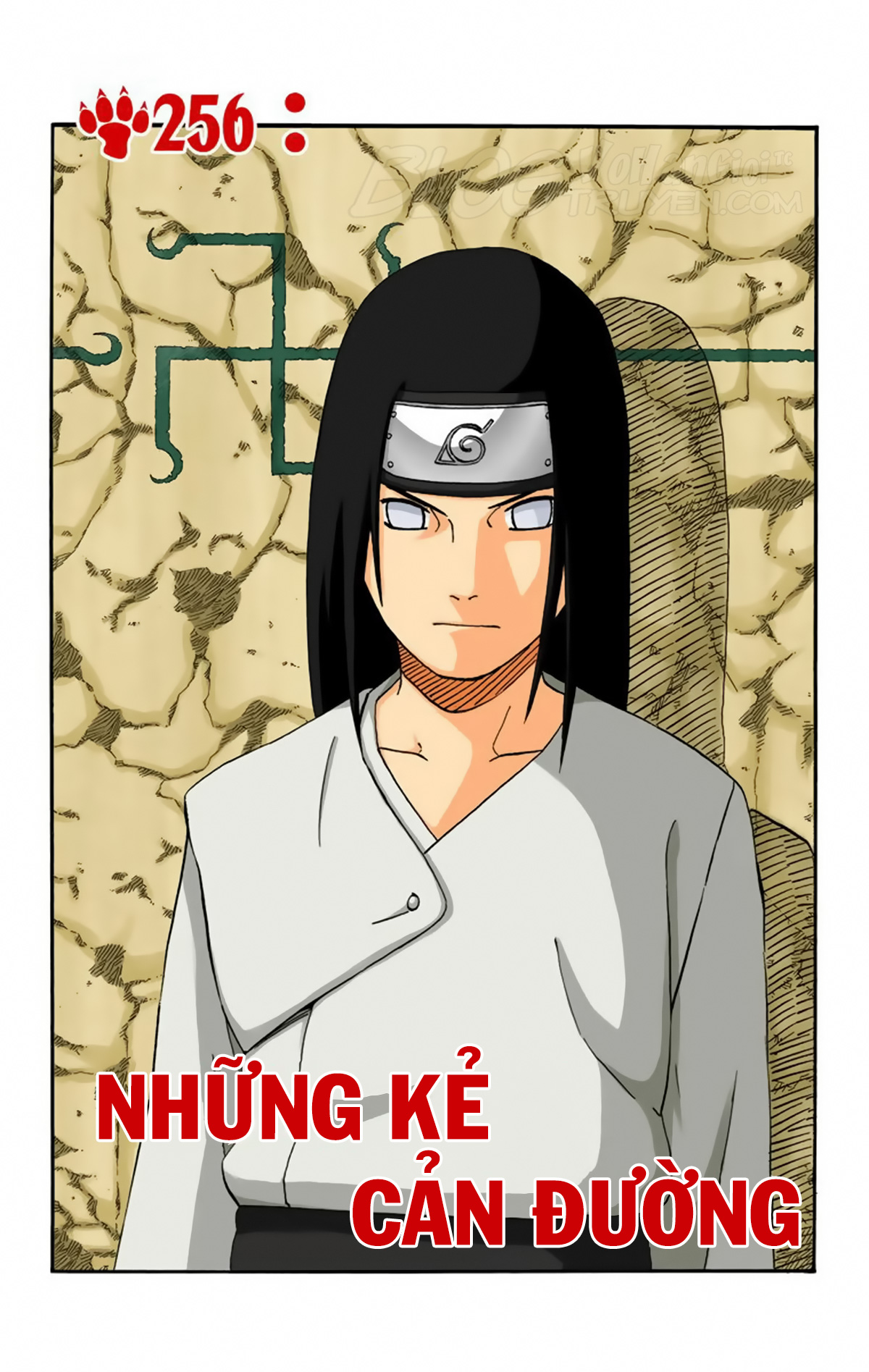 naruto full color edition Chapter 256 - Next Chapter 257