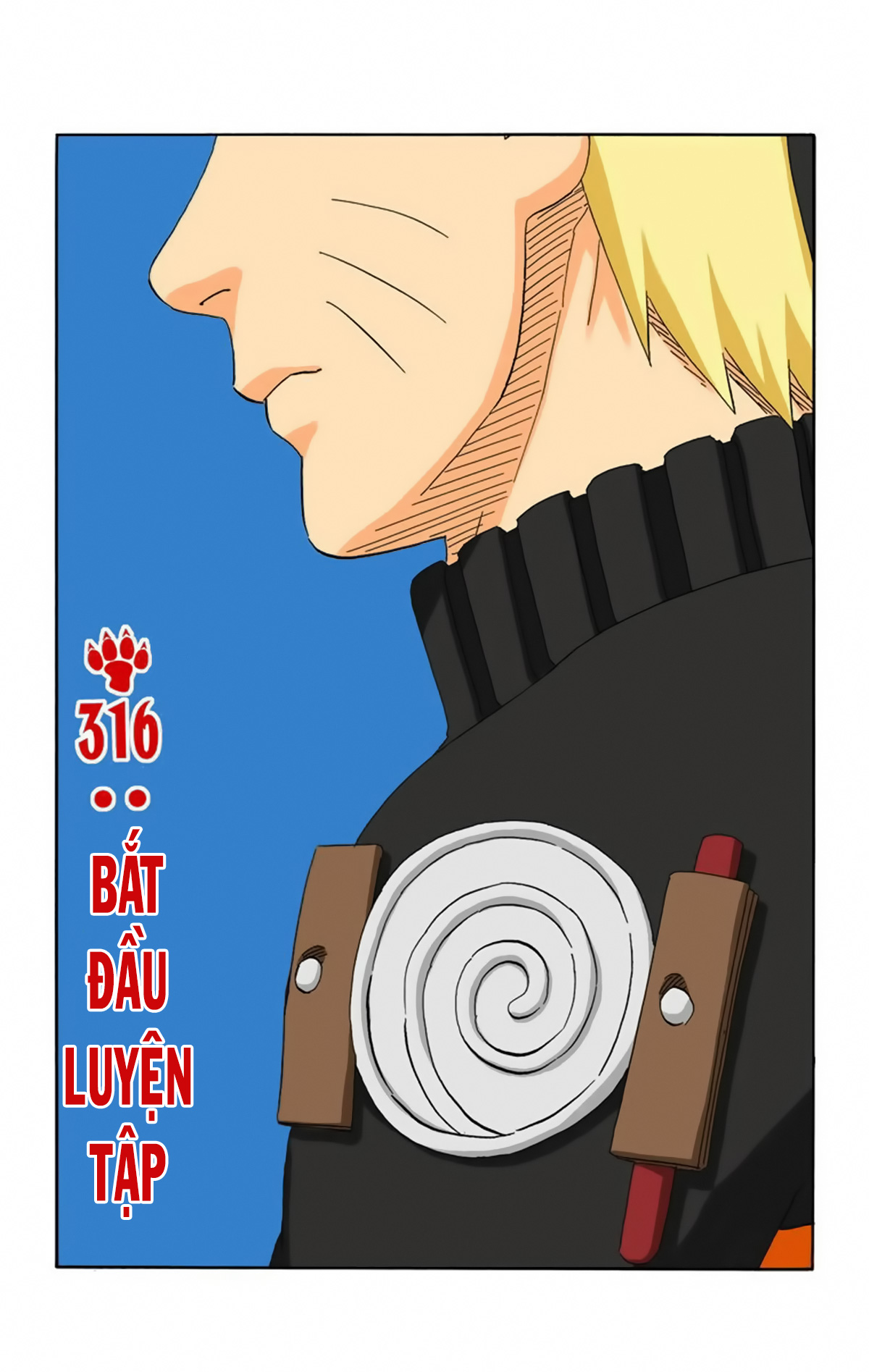 naruto full color edition Chapter 316 - Next Chapter 317