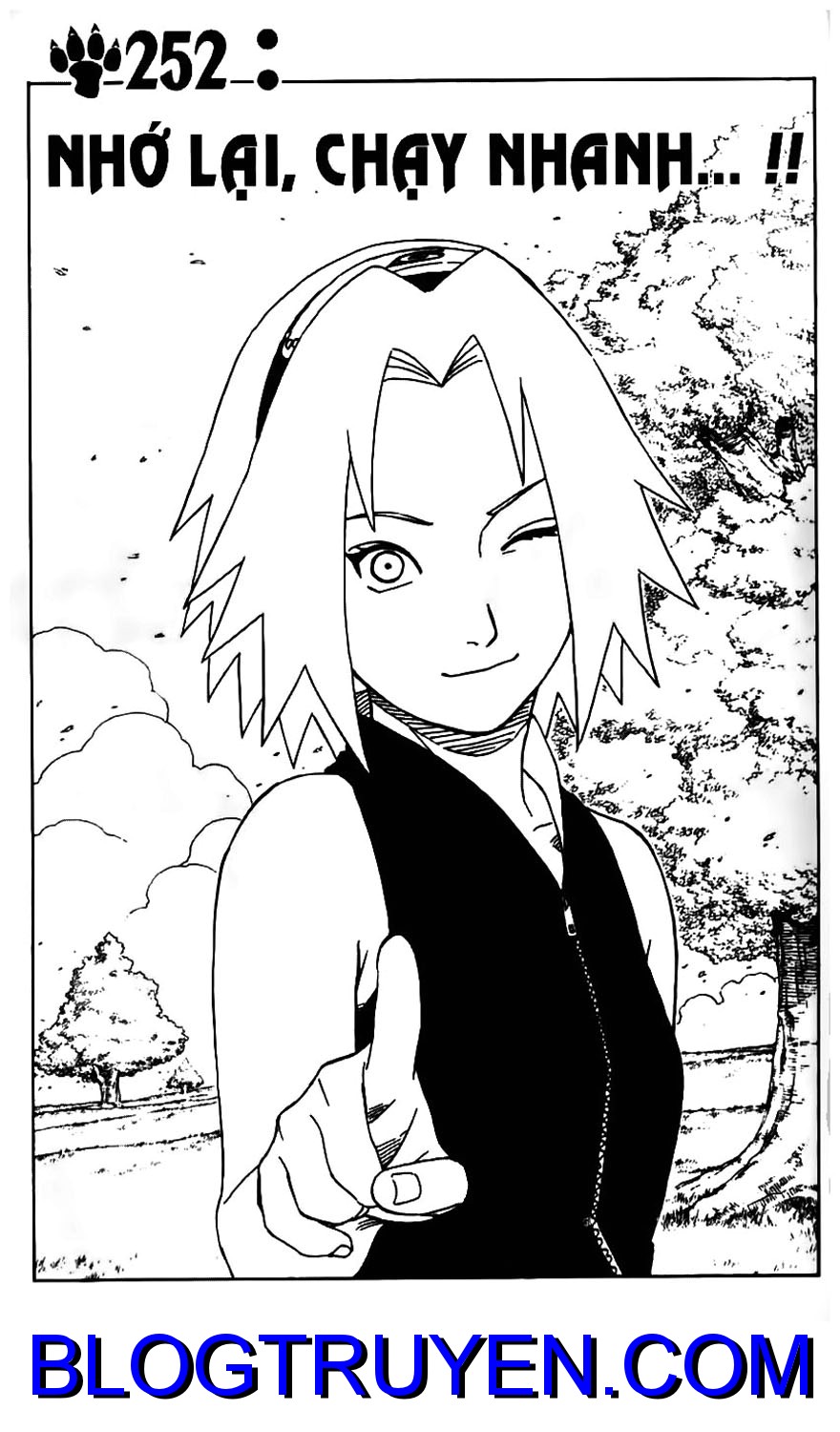 Naruto Chapter 252 - Next Chapter 253