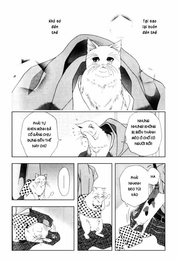 Neko Neko Honey Chapter 2 - Next Chapter 3