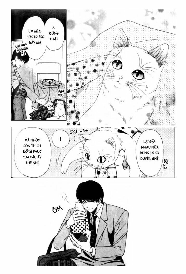 Neko Neko Honey Chapter 2 - Next Chapter 3