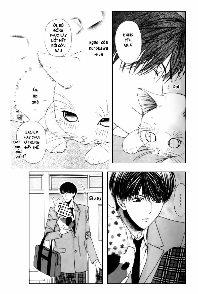 Neko Neko Honey Chapter 2 - Next Chapter 3