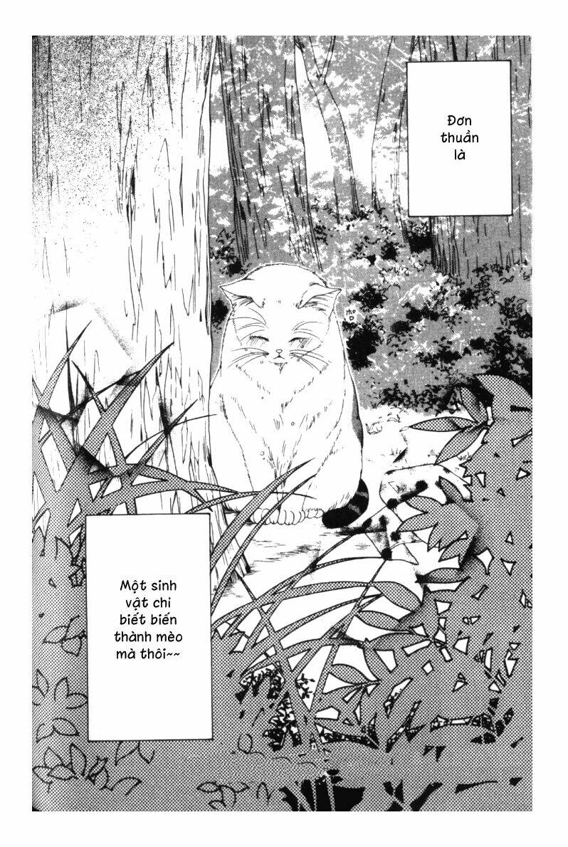 Neko Neko Honey Chapter 3 - Trang 2