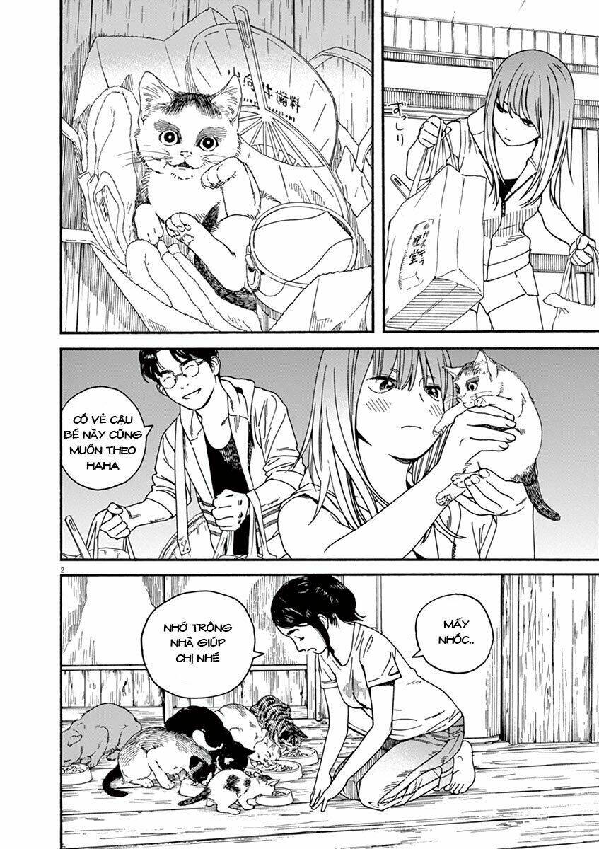 neko no otera no chion-san chapter 32 - Next chapter 33: when i met u in the summer