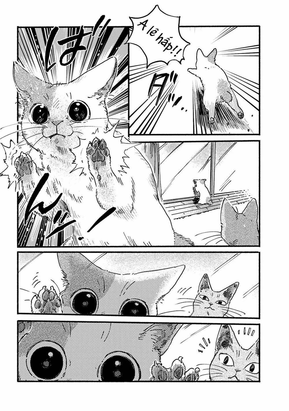 Nekodamari Chapter 6 - Next Chapter 7