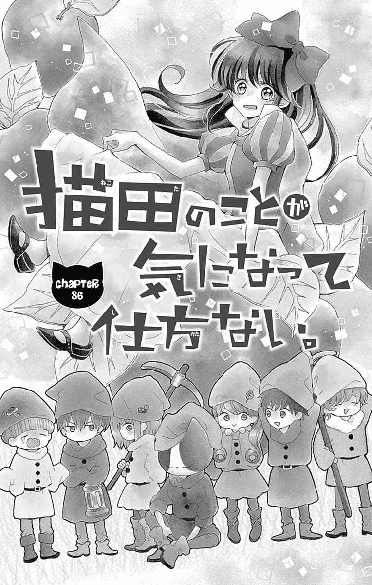 Nekota No Koto Ga Ki Ni Natte Shikatanai Chapter 36 - Next 