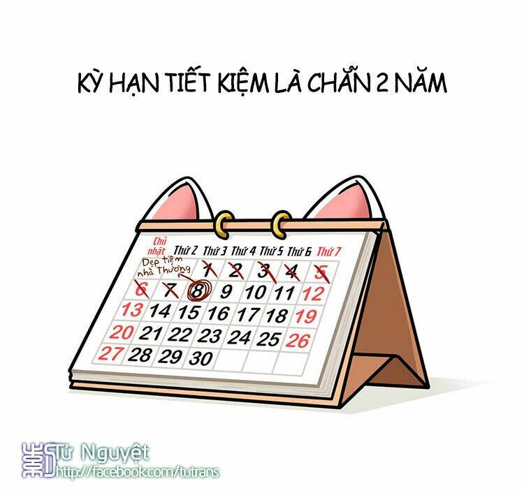 Nếu Lịch Sử Là Một Bầy Mèo Chapter 11 - Trang 2