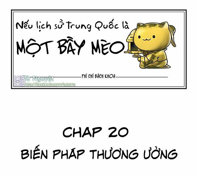 Nếu Lịch Sử Là Một Bầy Mèo Chapter 20 - Next Chapter 21