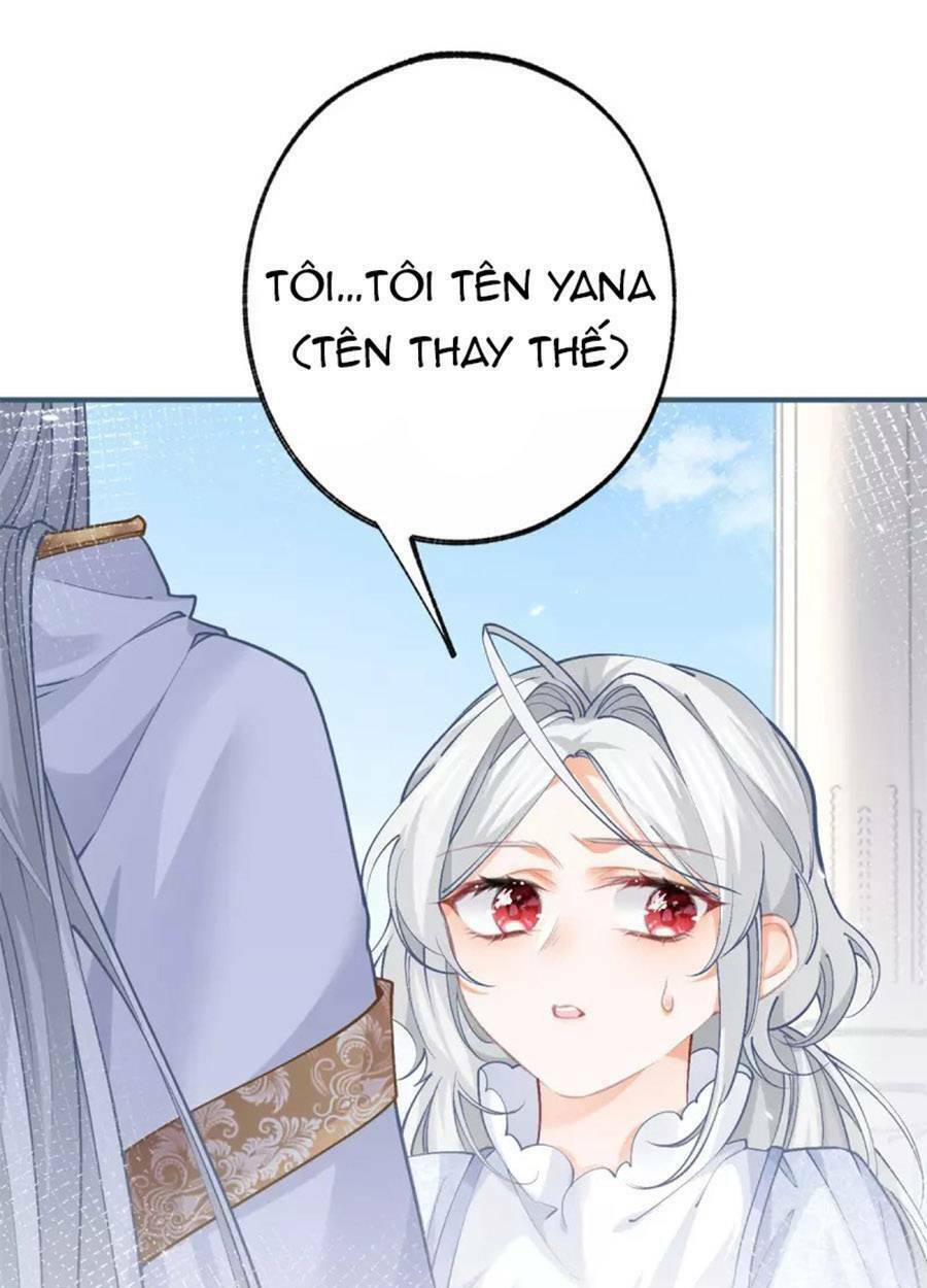 ngày nào đó trở thành công chúa tế phẩm chapter 42 - Next chapter 43